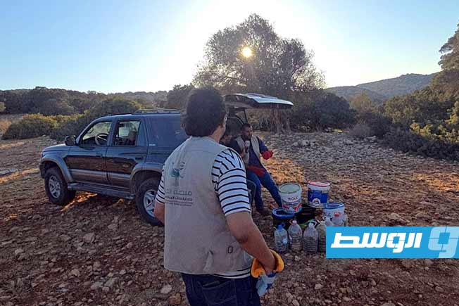 منظمة الحياة لحماية الكائنات البرية والبحرية تطلق عددًا من أفاعي الكوبرا في محمية وادي الناقة لاستعادة التوازن الطبيعي. (الأكاديميون الليبيون)
