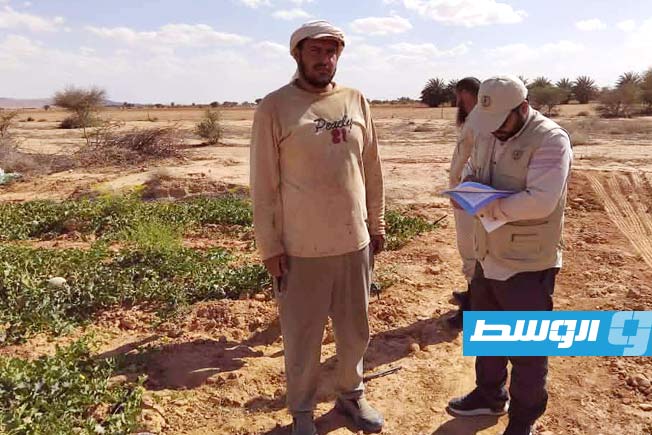 سحب عينات من الشمام في أودية بني وليد للتأكد من سلامتها الغذائية (جهاز الشرطة الزراعية)