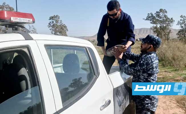 انتشال 4 قذائف مدفعية من مزرعة مواطن بمنطقة السائح. (هيئة السلامة الوطنية)