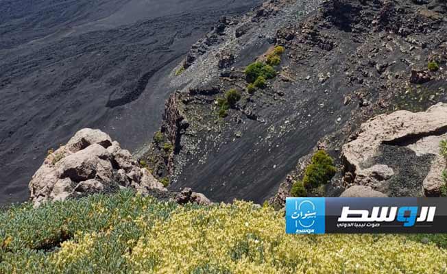 من زيارة فريق من كلية العلوم بجامعة بنغازي لبركان إتنا في صقلية (جامعة بنغازي)