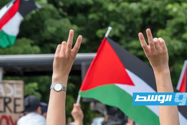 الجمعية العامة للأمم المتحدة حددت يوم 29 نوفمبر من كل عام ليكون اليوم العالمي للتضامن مع الشعب الفلسطيني. (شترستوك)