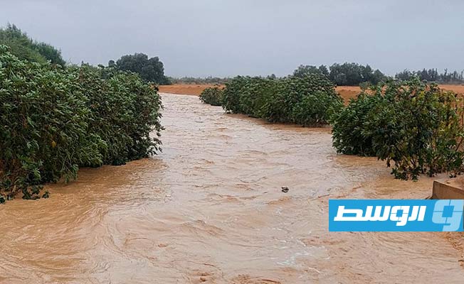 جريان مياه الأمطار في أحد الأودية، 6 ديسمبر 2024. (أمن النواحي الأربع)