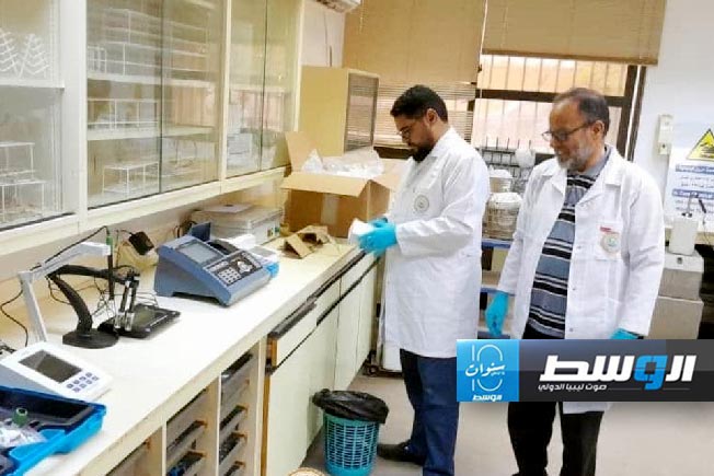 جانب من تحليل عينات مياه البحر، الخميس 9 مايو 2024 (وزارة الحكم المحلي)