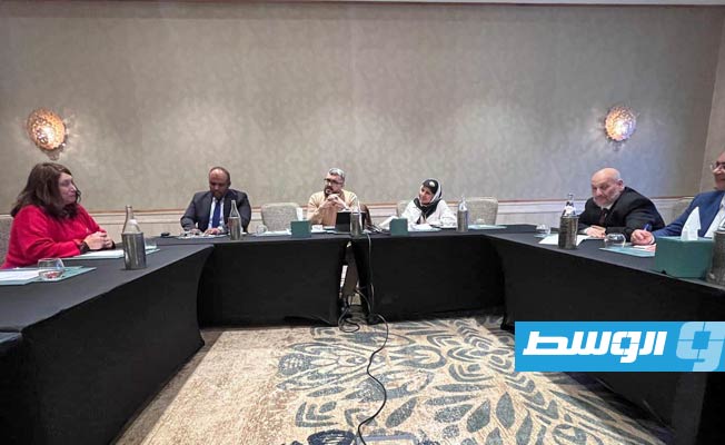 لقاء التومي مع مديرة مركز التنمية المحلية والحكم الرشيد، 30 نوفمبر 2024. (وزارة الحكم المحلي)