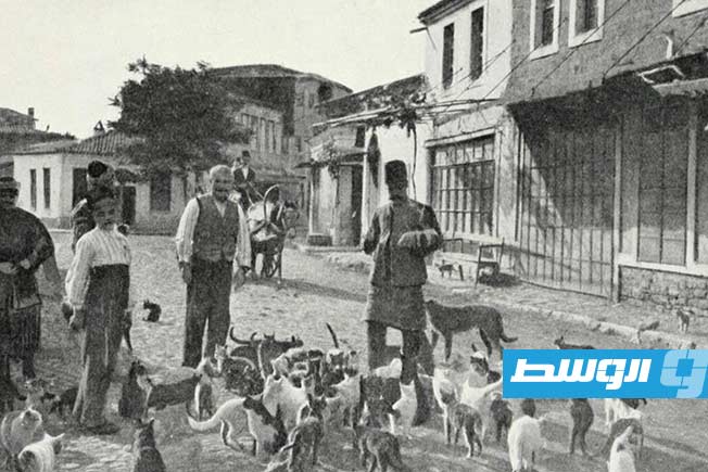 صورة قديمة متداولة تعبر عن الاهتمام بالقطط ورعايتها في مدينة اسطنبول. (الإنترنت)