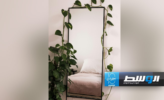 مرآة مزينة بعروق النبات (الصورة من unsplash)