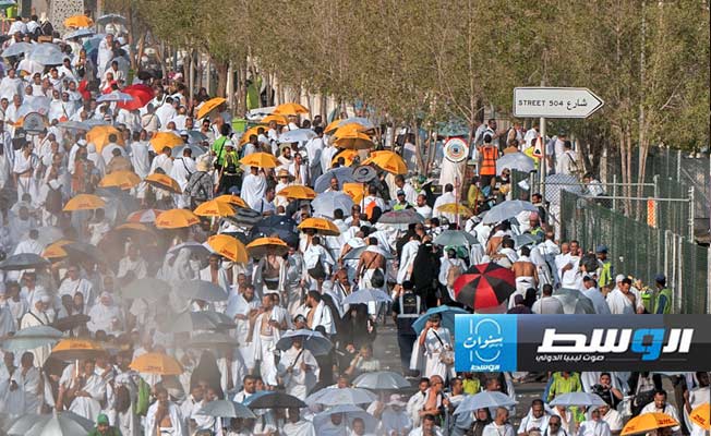 حجاج يؤدون المناسك في يوم عرفة، 15 يونيو 2024 (وزارة الحج والعمرة السعودية)