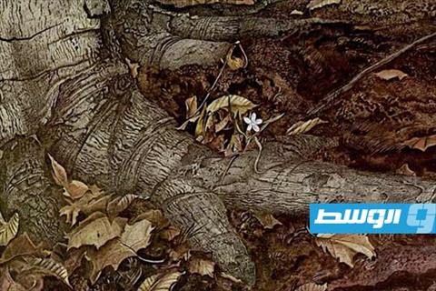 الفنان الأمريكي (أندرو وايث)