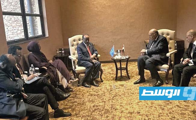وزير الخارجية المصري يلتقي القائم بأعمال وزير خارجية الصومال في كمبالا، الخميس 18 يناير 2024 (وزارة الخارجية المصرية)