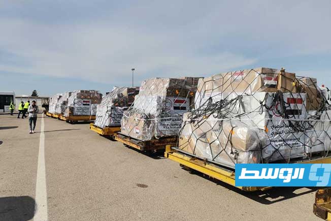 صورة للمساعدات المرسلة من مصر بعد وصولها إلى دمشق (الصفحة الرسمية للخارجية المصرية)