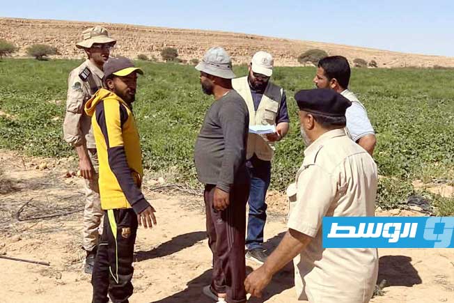 سحب عينات من الشمام في أودية بني وليد للتأكد من سلامتها الغذائية (جهاز الشرطة الزراعية)