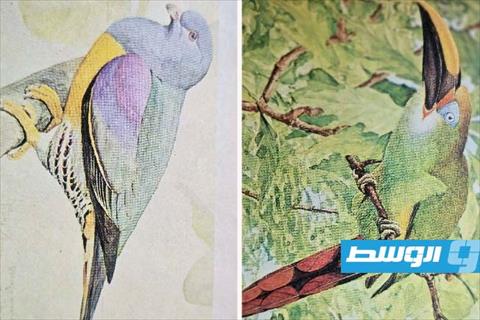 «لويس أغاسيز فورتيز والجمال الفريد للطيور»