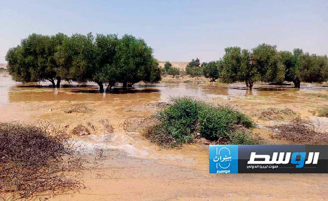 جريان السيول في أودية بني وليد، 23 سبتمبر 2024. (الإنترنت)