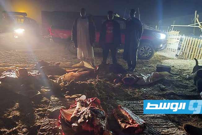ضبط 3 وافدين يذبحون أبقارًا نافقة ويبيعونها في الكفرة