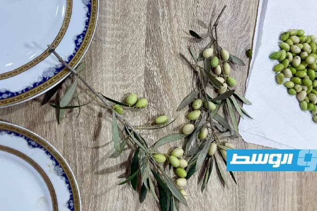 الزيتون الأبيض الترهوني، الثلاثاء 28 أكتوبر 2025. (الهيئة الليبية للبحث العلمي)