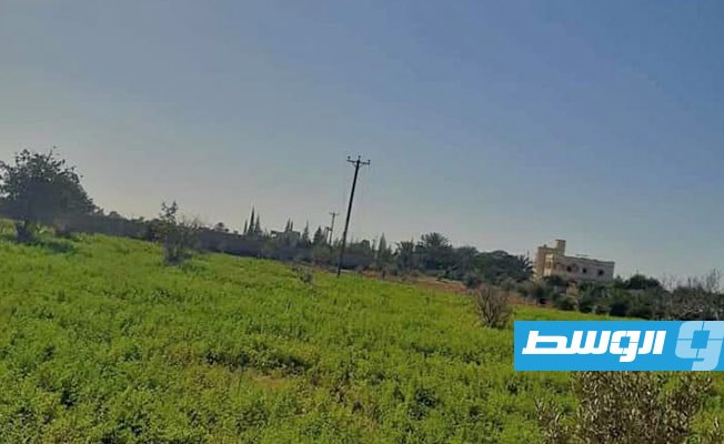 سرقة أسلاك كهرباء بدائرة توزيع السواني, 9 يناير 2021. (الشركة العامة للكهرباء)