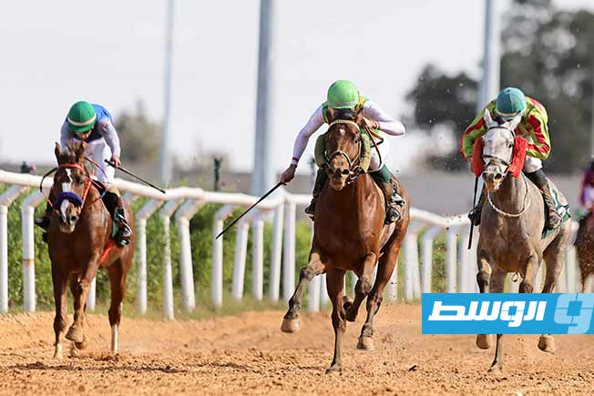 جانب من فاعليات الأسبوع الواحد والأربعون من موسم 2025 ( تصوير - محمود دردور - بوابة الوسط)