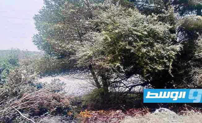 الثلج يغطي مناطق في الجبل الأخضر، 30 يناير 2024. (المركز الوطني للأرصاد الجوية)