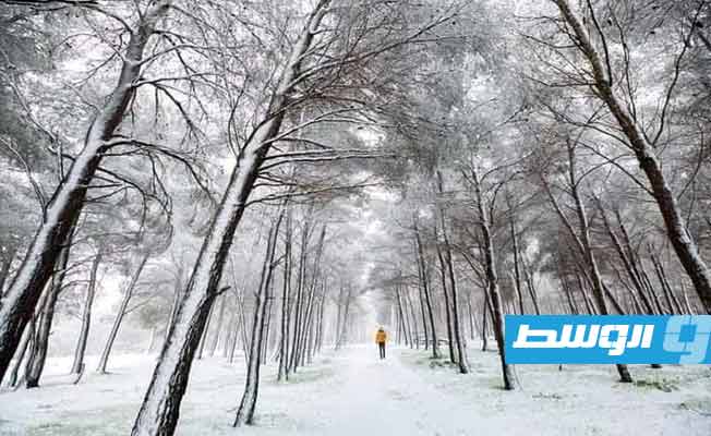 الثلج يغطي مناطق في الجبل الأخضر، 30 يناير 2024. (المركز الوطني للأرصاد الجوية)