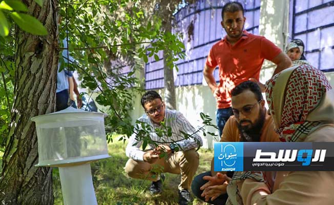 جانب من ورشة عمل تدريبية لتعزيز القدرات الوطنية للأطقم الطبية المتخصصة، السبت 31 أغسطس 2024 (المركز الوطني لمكافحة الأمراض)
