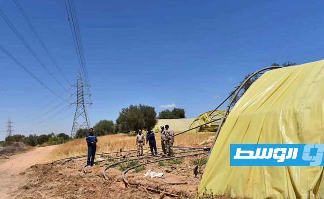 إزالة صوب ضمن أعمال الحملة.