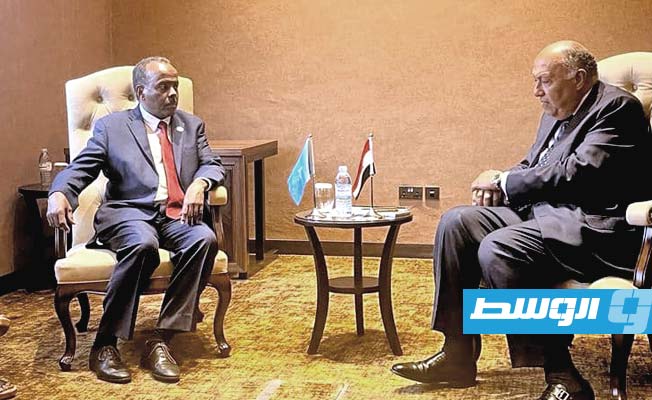 وزير الخارجية المصري يلتقي القائم بأعمال وزير خارجية الصومال في كمبالا، الخميس 18 يناير 2024 (وزارة الخارجية المصرية)