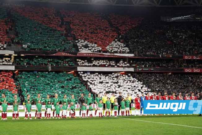 ملعب سان ماميس في بلباو الإسبانية خلال مواجهة منتخب فلسطين مع منتخب إقليم الباسك، 15 نوفمبر 2025 (إنترنت)