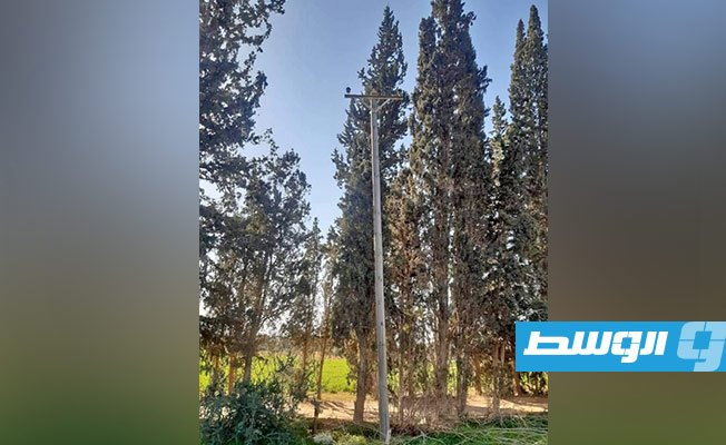 سرقة أسلاك كهرباء بدائرة توزيع السواني, 9 يناير 2021. (الشركة العامة للكهرباء)