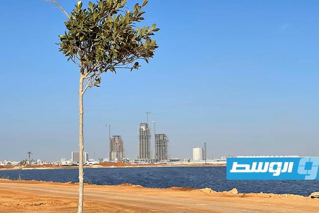 إحدى البحيرات ضمن مواقع الأراضي الرطبة في ليبيا. (تصوير: إبتسام اغفير)