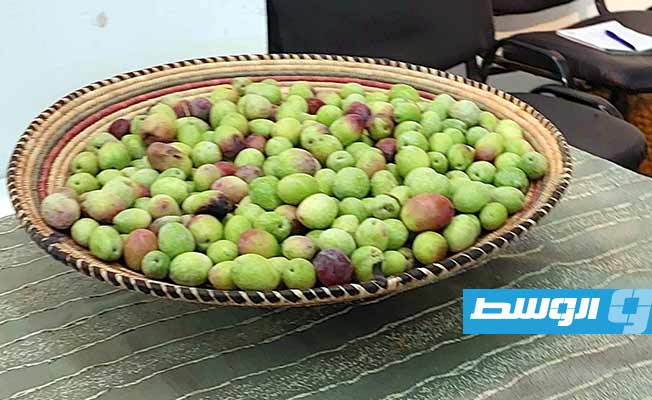 من أجنحة معرض ليبيا الزراعي التي أقيمت في تمنهنت خلال الفترة من 25 إلى 28 نوفمبر 2023. (تصوير: رمضان كرنفودة)