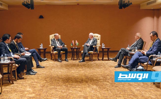 لقاء الباعور (يسار) ورياض المالكي على هامش قمة عدم الانحياز في أوغندا، 19 يناير 2024. (وزارة الخارجية)