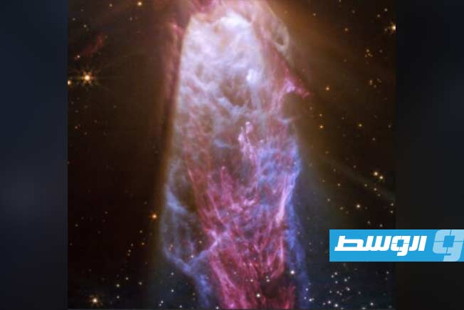 صورة مُكبَّرة تظهرالجزء السفلي من (L483). (ناسا، وكالة الفضاء الأوروبية، وكالة الفضاء الكندية، معهد علوم الفضاء الفلكية)