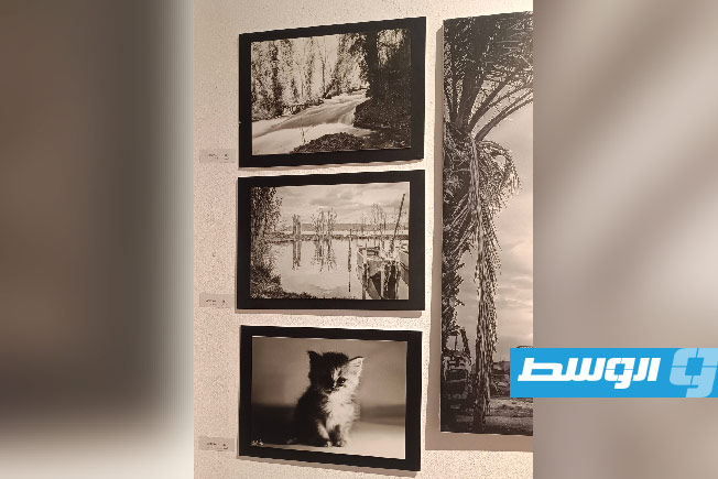صور من معرض «ضمير مستتر» ببنغازي للفنانة دينا القلال (فيسبوك)