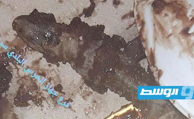 الحشرة التي عثر عليها بقطعة كيكة اشتراها مواطن من محل شهير وسط سرت. (فرع الحرس البلدي في سرت)