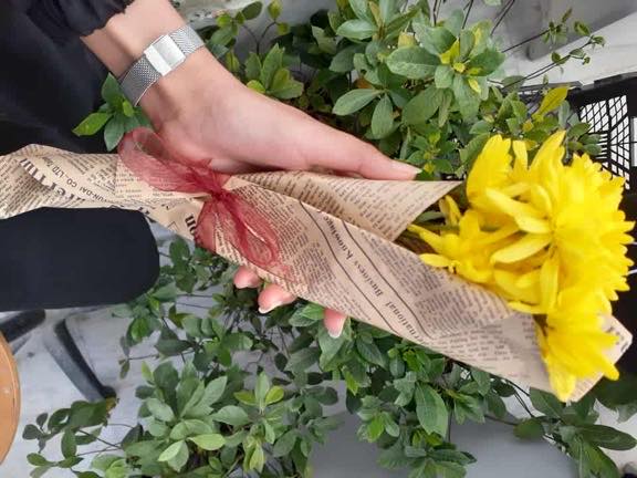 طالبات المرحلة الثانوية يشاركن في معرض للنباتات بطبرق