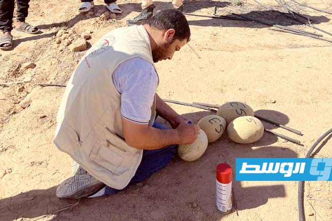 سحب عينات من الشمام في أودية بني وليد للتأكد من سلامتها الغذائية (جهاز الشرطة الزراعية)