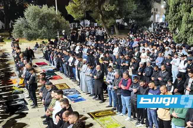 مصلون يؤدون صلاتي العشاء والتراويح في رحاب المسجد الأقصى، الخميس 13 مارس 2025 (دائرة الأوقاف الإسلامية)