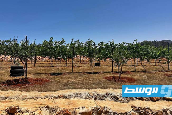 أحد المواقع في درنة زارها نائب المبعوثة الأممية منسق الشؤون الإنسانية في ليبيا، إينيس شوما، وفريق أممي في المنطقة الشرقية، 22 يونيو 2025. (الأمم المتحدة في ليبيا)