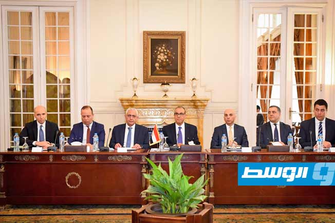 من اجتماع وزراء خارجية مصر والجزائر وتونس في القاهرة، 31 مايو 2025. (وزارة الخارجية المصرية)